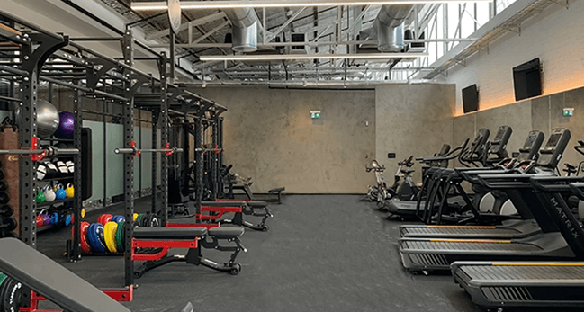 g-case-study-goodman-gallery-5